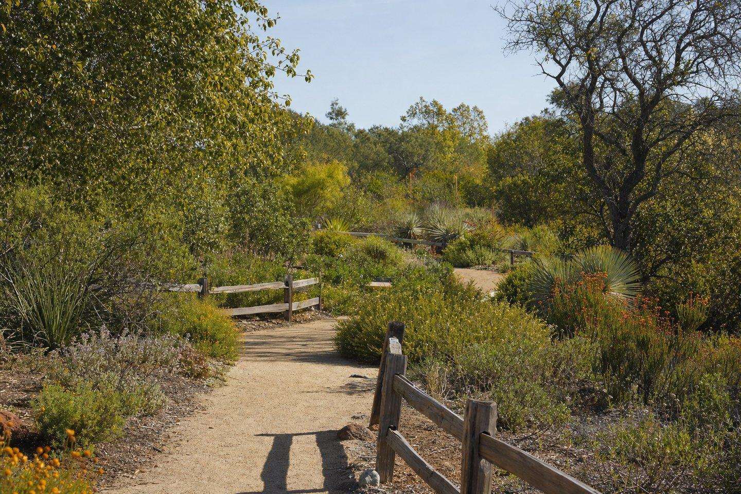 A native plant botanical garden path at a California wildlife center