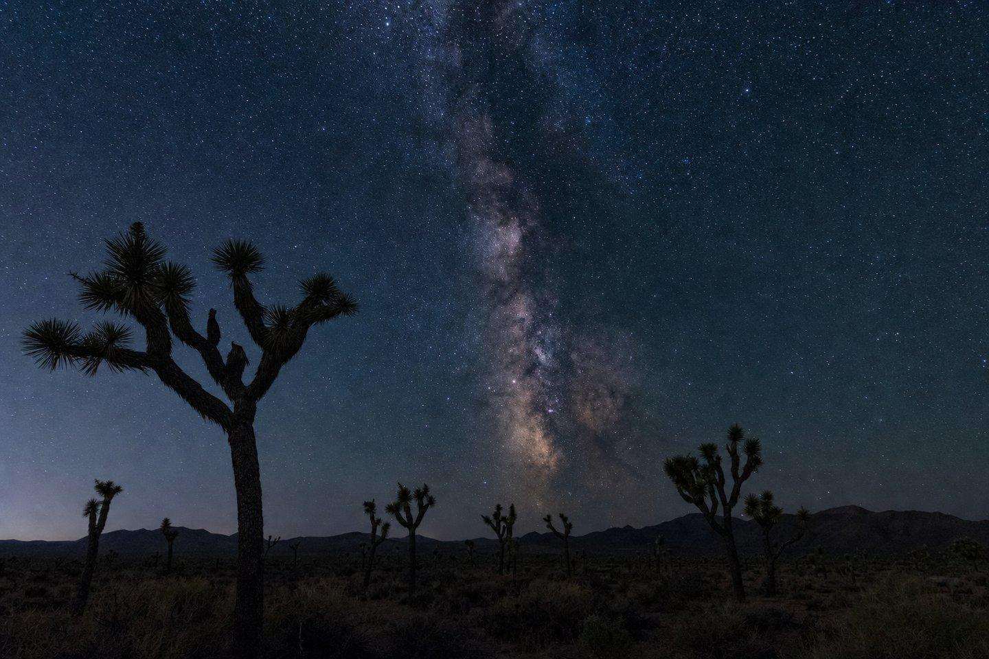Kern County Camping: Rivers, Mountains, and Desert (AI-generated image)