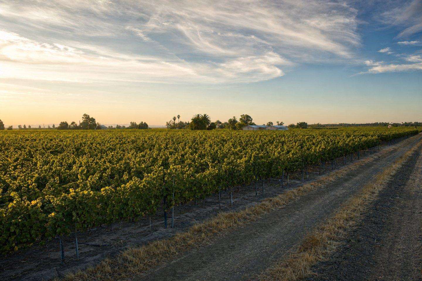 A view of Delano, Kern County, California (AI-generated image)