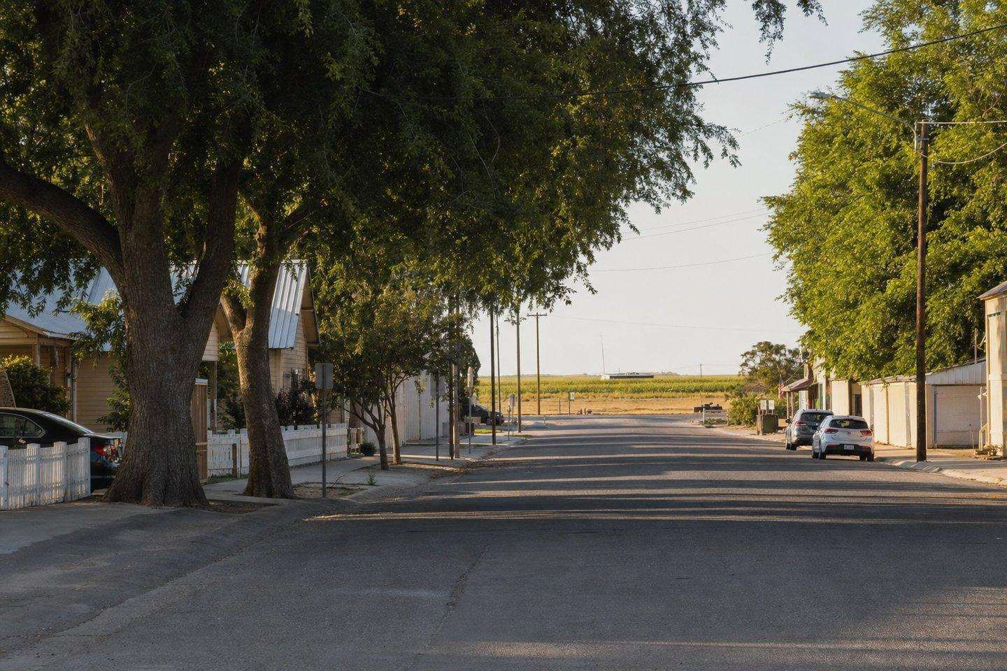 A view of McFarland, Kern County, California (AI-generated image)
