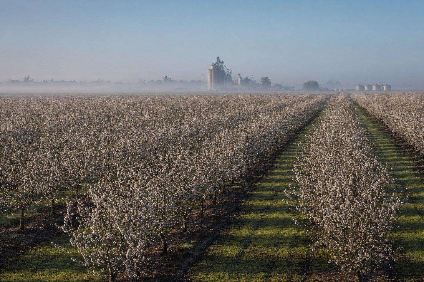 A view of Shafter, Kern County, California (AI-generated image)