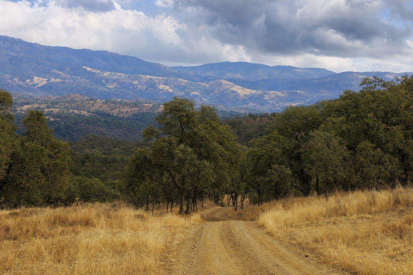 A view of Walker Basin, Kern County, California (AI-generated image)