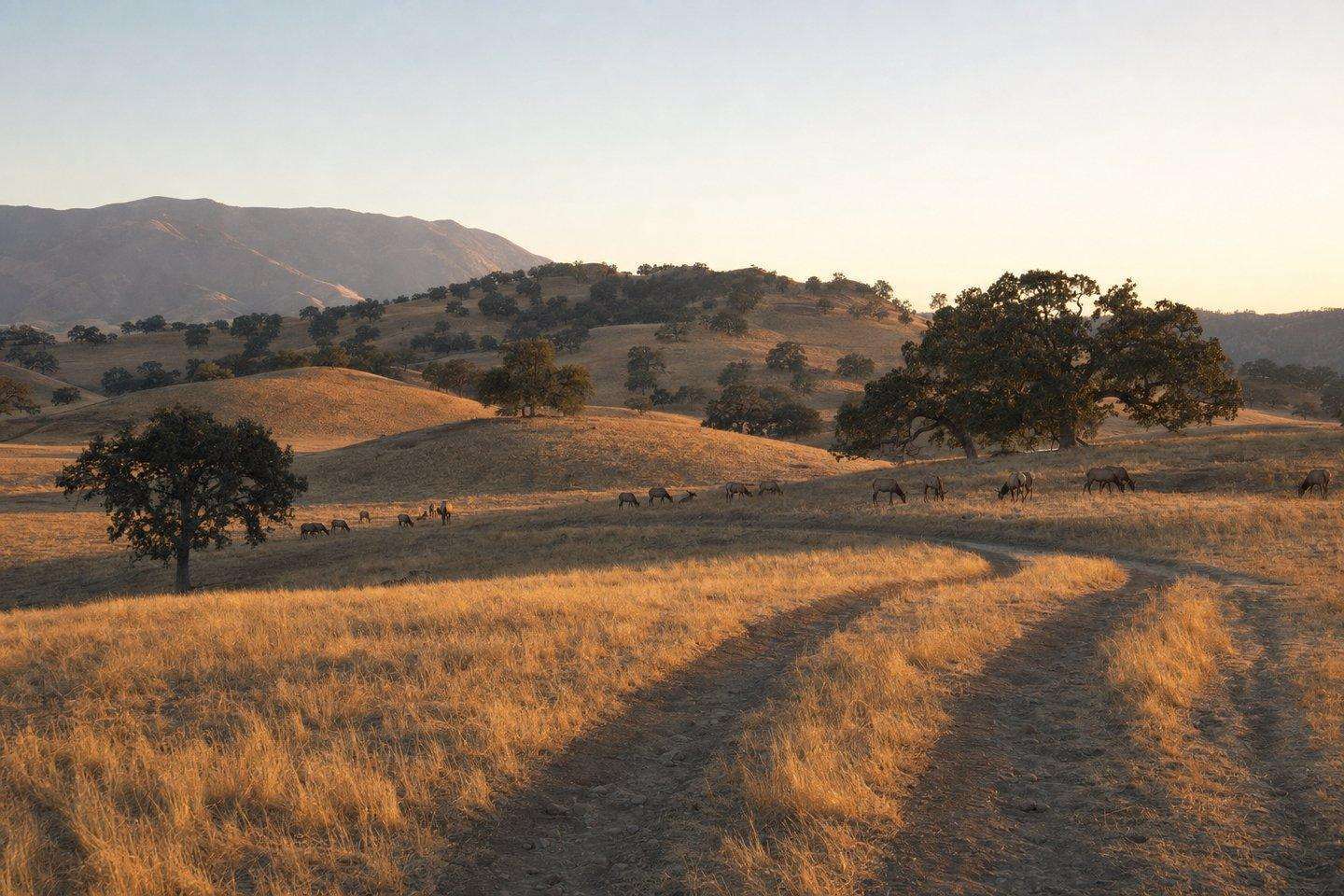 Wind Wolves Preserve: A Nature Preserve Southwest of Bakersfield (AI-generated image)